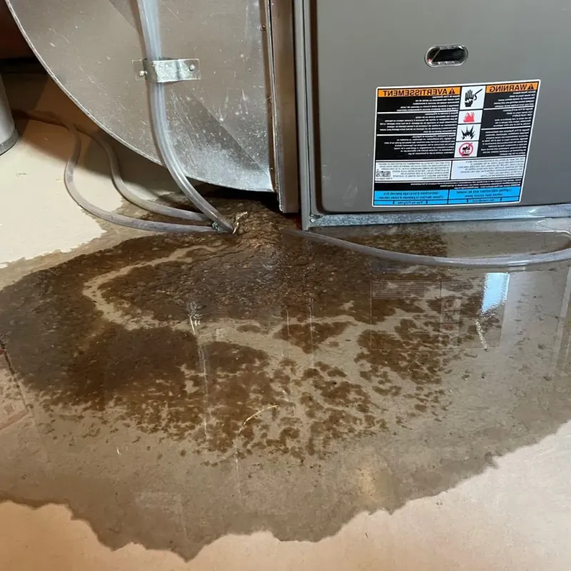 Pipe Burst and Leak Restoration in Nikiski, AK