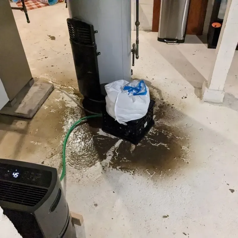 Sewage Backup Cleanup Service in Nikiski, AK